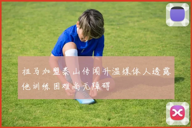 祖马加盟泰山传闻升温媒体人透露他训练困难尚无障碍