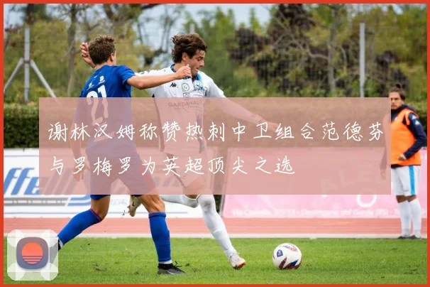 谢林汉姆称赞热刺中卫组合范德芬与罗梅罗为英超顶尖之选