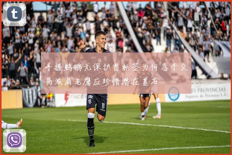 手握鹈鹕无保护首轮签为何急于交易浓眉老鹰应珍惜潜在基石